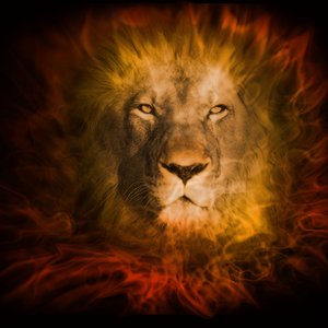 The Lion's Roar