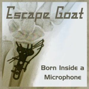 Born Inside a Microphone - Single