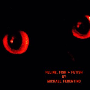 Feline, Fish and Fetish