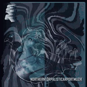 Northerntörpalisticarportmuzik