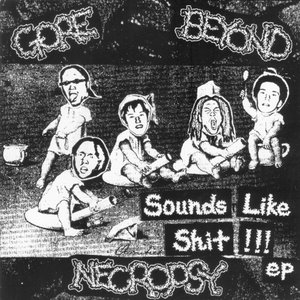 Sounds Like Shit !!! EP