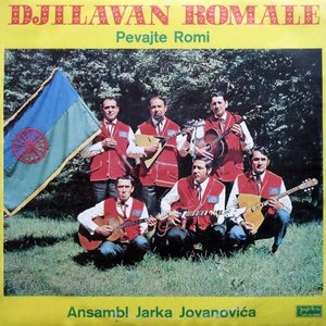 Ansambl Jarka Jovanovića 的头像