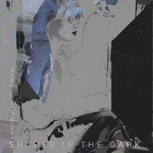 Shapes in the Dark