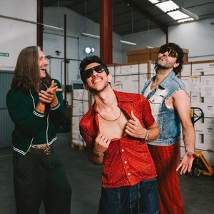 Avatar for The Quinquis