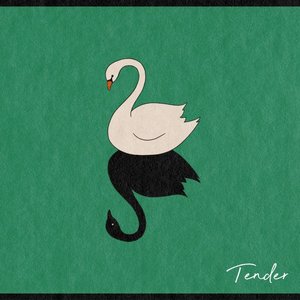 Tender - Single