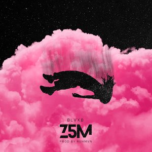 Z5M