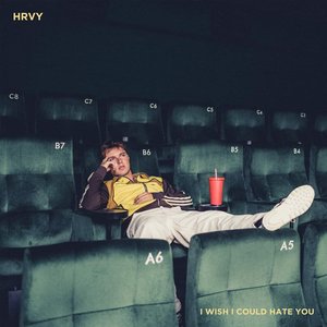 I Wish I Could Hate You - Single