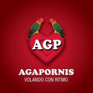 Agapornis - Volando Con Ritmo