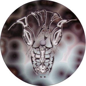 Dragonid