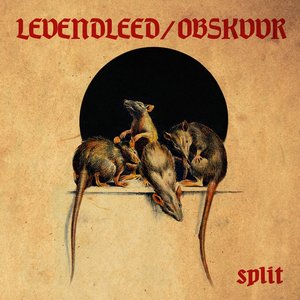 Split