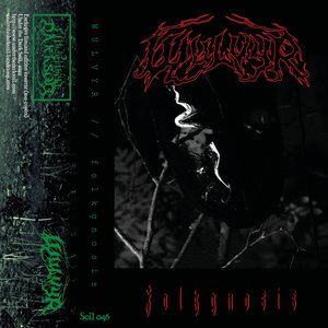 Folkgnosis
