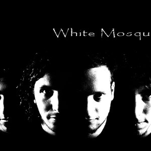 White MosQuito 的头像