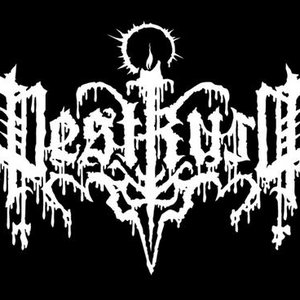 Pestkult 的头像