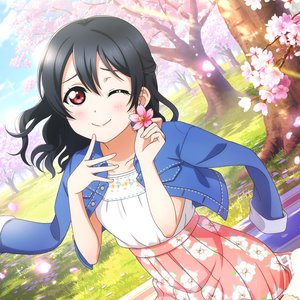 Yazawa Nico (CV: Tokui Sora) 的头像