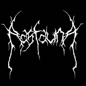 Aasfauna