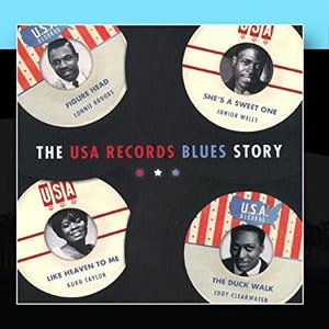 The USA Records Blues Story