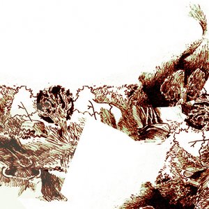 Fledermaus