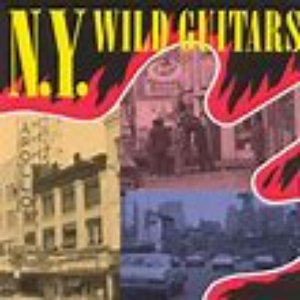 N.Y. Wild Guitars
