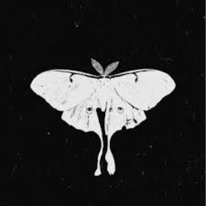 Paper moth 的头像