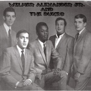 Wilmer & The Dukes 的头像