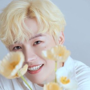 Avatar di 丁丁RaJor