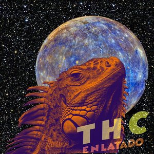 Enlatado