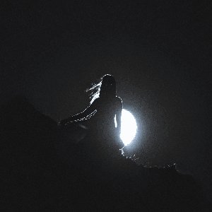 “безумия бездны [Explicit]”的封面