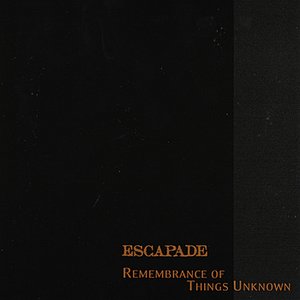 Remembrance of Things Unknown