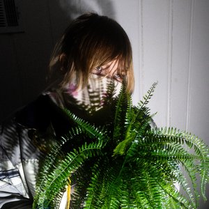 Avas 的头像