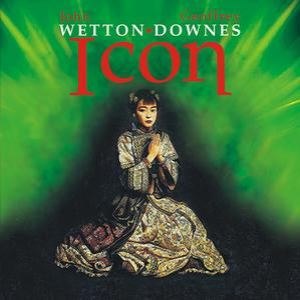 Icon cover