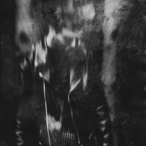 Wedard photo provided by Last.fm