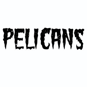 Pelicans のアバター