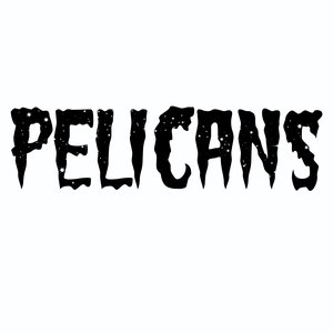 Pelicans 的头像