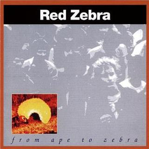 Red Zebra - Dressed In Black - CD 2/2 - Zortam Music