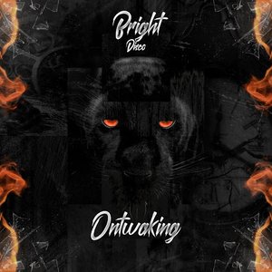 Ontwaking