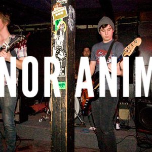 Manor Animals 的头像