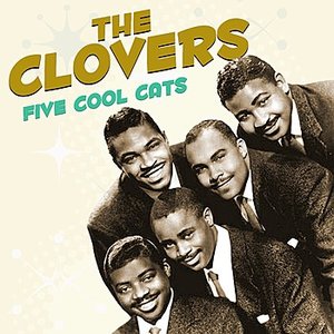 Five Cool Cats