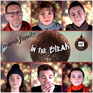 In the Bleak - Single