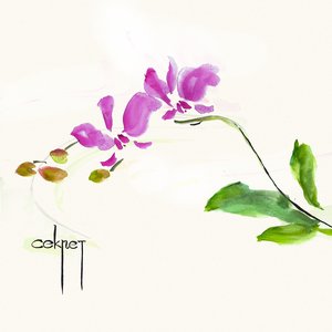 Секрет