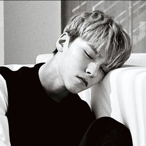 “버논”的封面