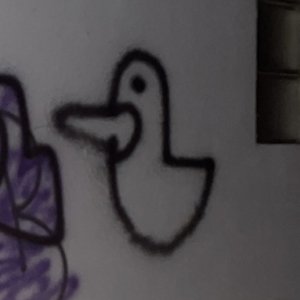 Avatar for Theory Of Ducks