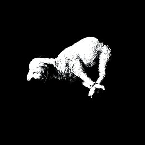 Bataille