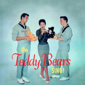 Presenting The Teddy Bears