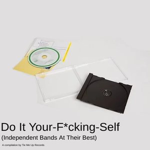 Do It Your‐F*cking‐Self (Independent Bands at Their Best)
