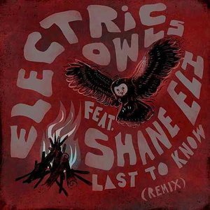 Last to Know (Remix) [feat. Shane Eli]