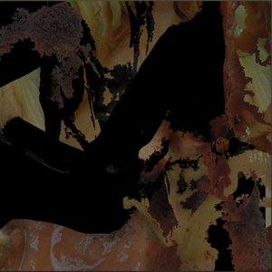 Cycles & Decay