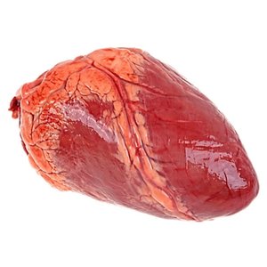 食べ物を注ぎ始める