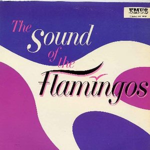 The Sound Of The Flamingos