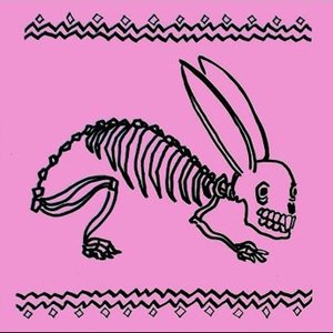 Bunny Brains