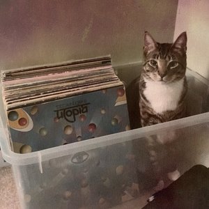The Lost Tapes